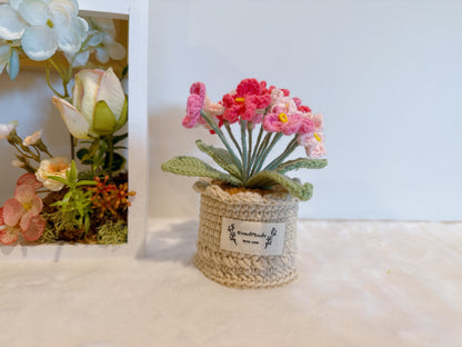 Flowers Pot