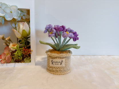 Flowers Pot