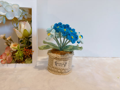 Flowers Pot
