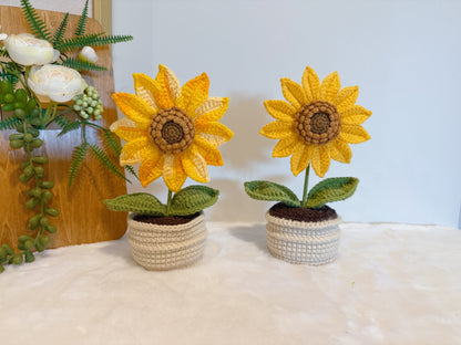 Golden Sunflower Pot