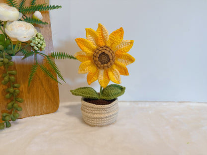 Golden Sunflower Pot