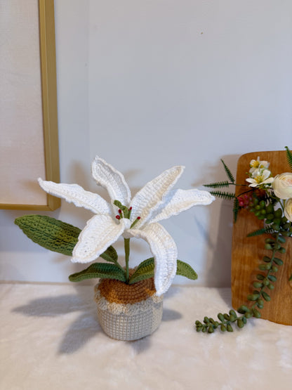 Lily Pot
