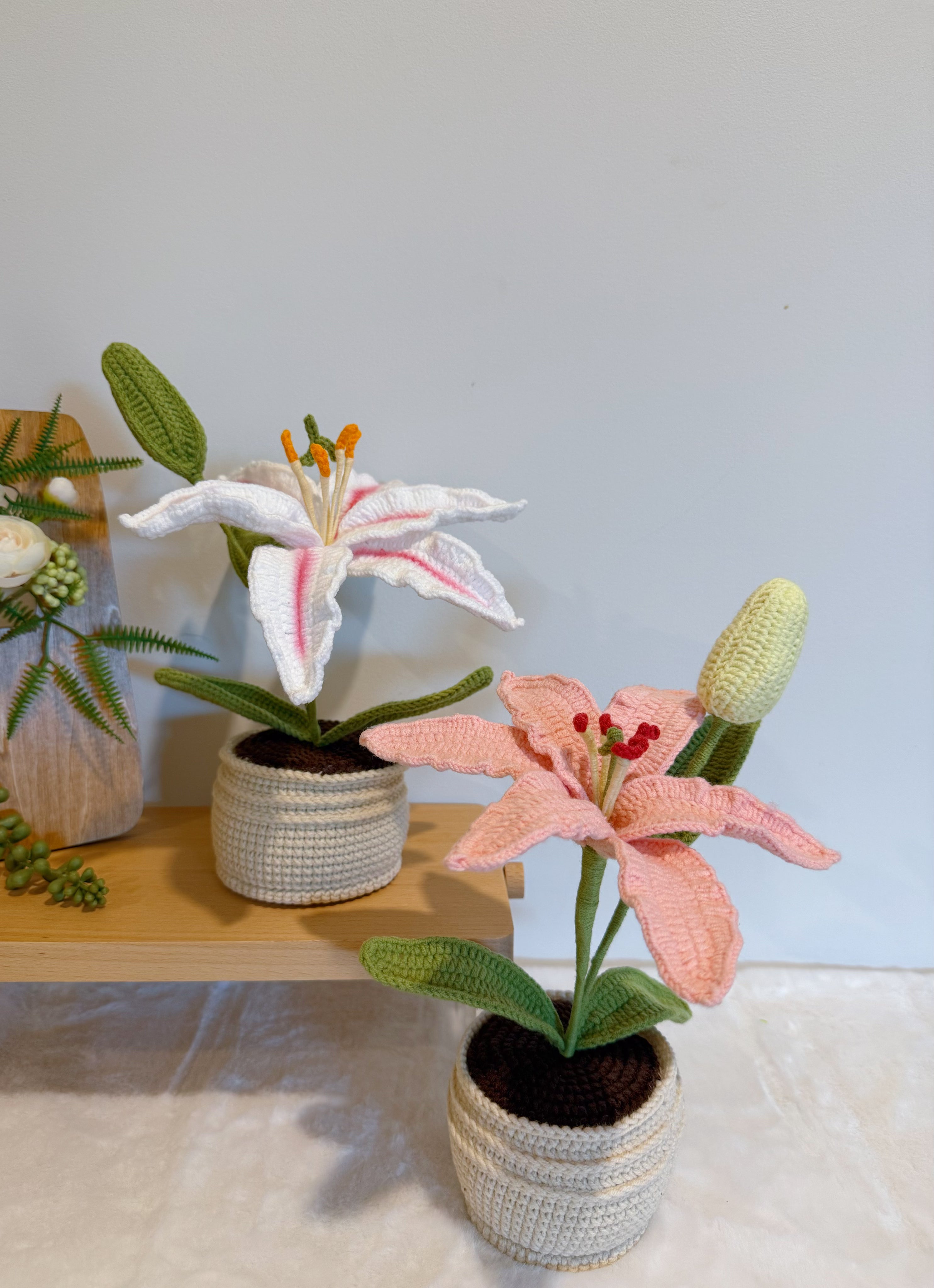 Lily with Bud in Pot