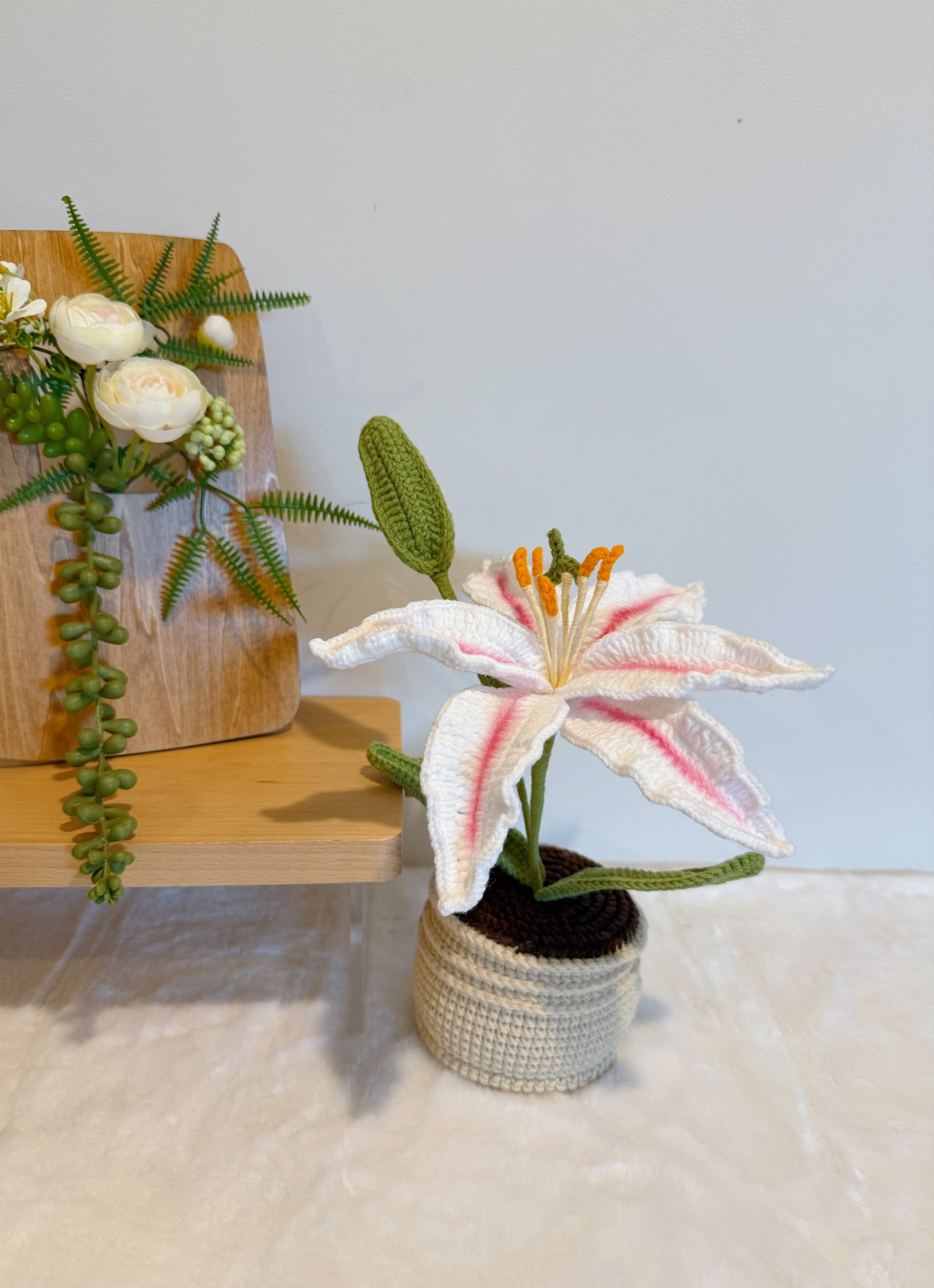 Lily with Bud in Pot