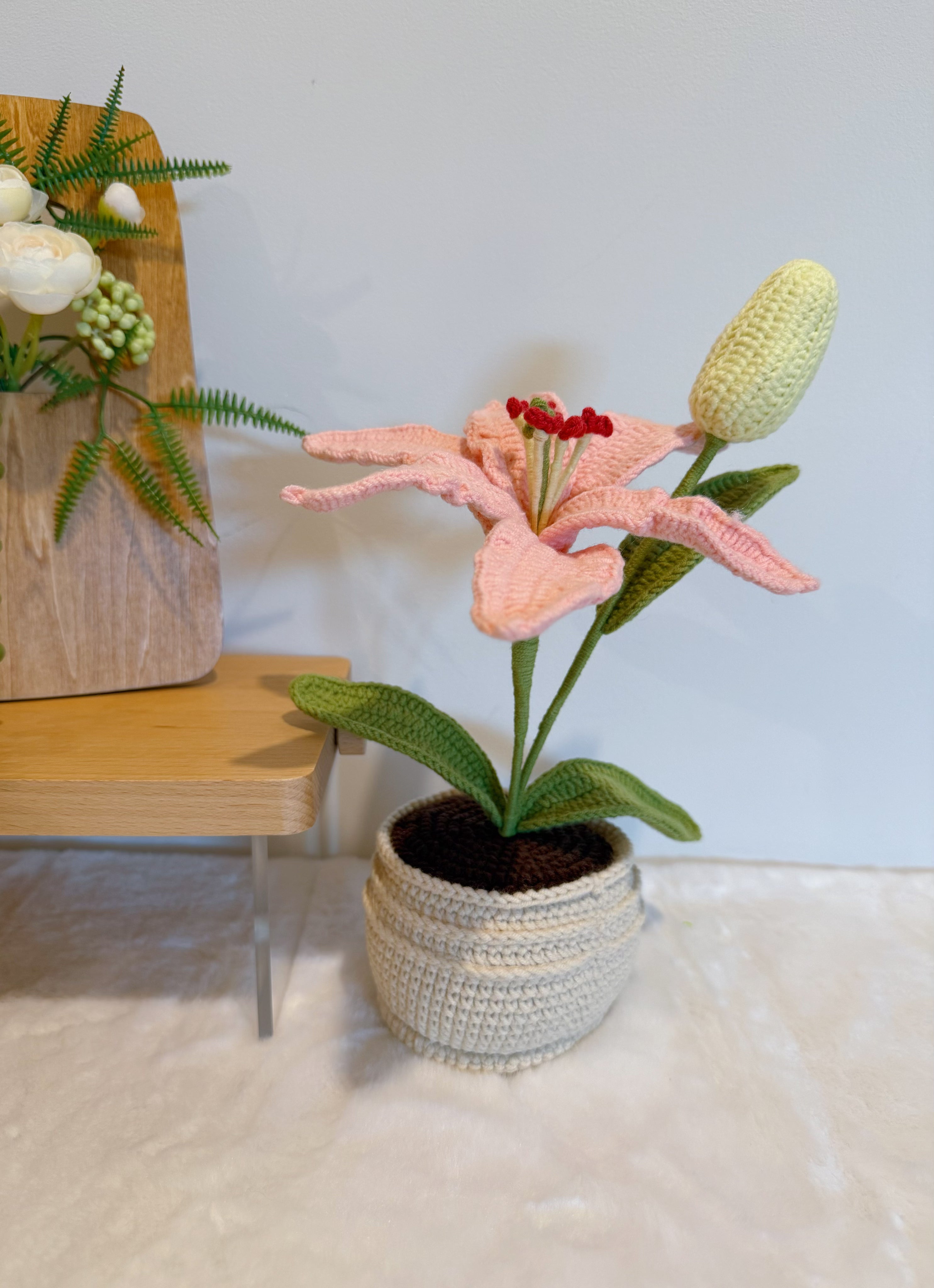 Lily with Bud in Pot
