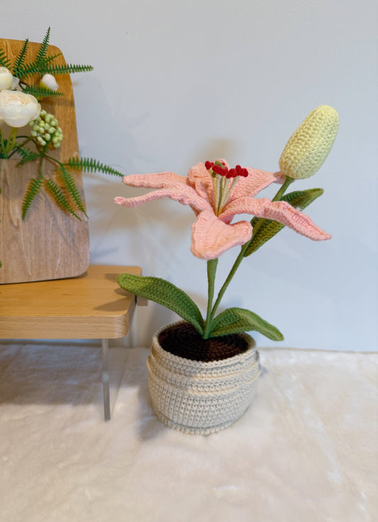 Lily Pot