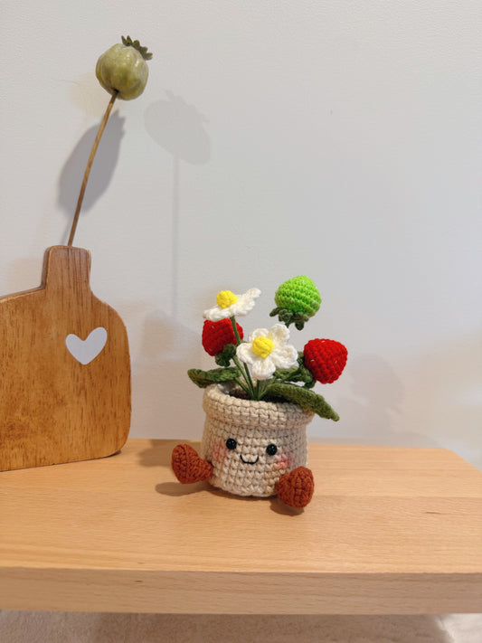 Happy Strawberry Pot