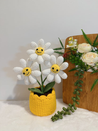Three Little Cutie Smiles in Pot