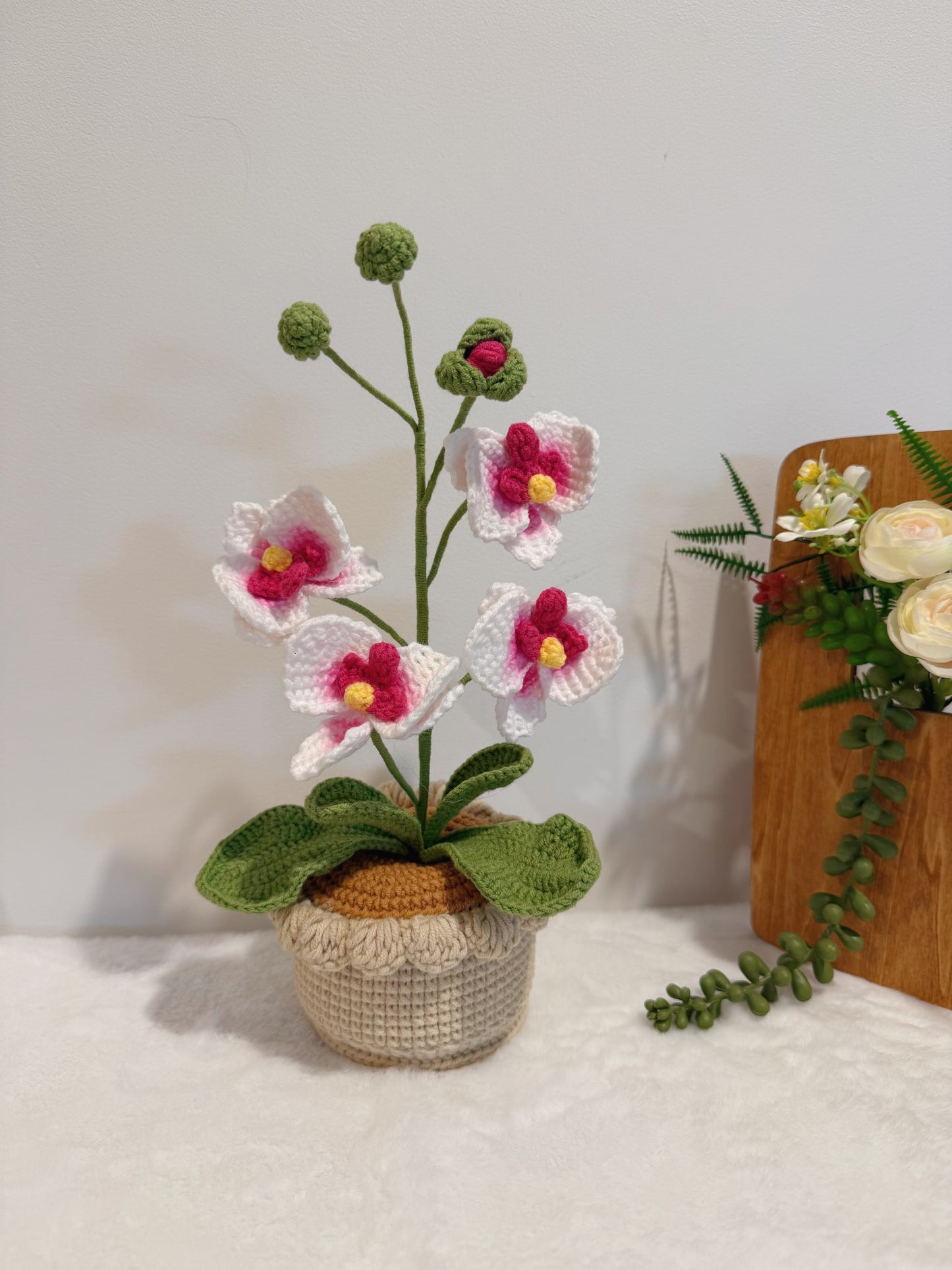 Orchid Bloom Pot