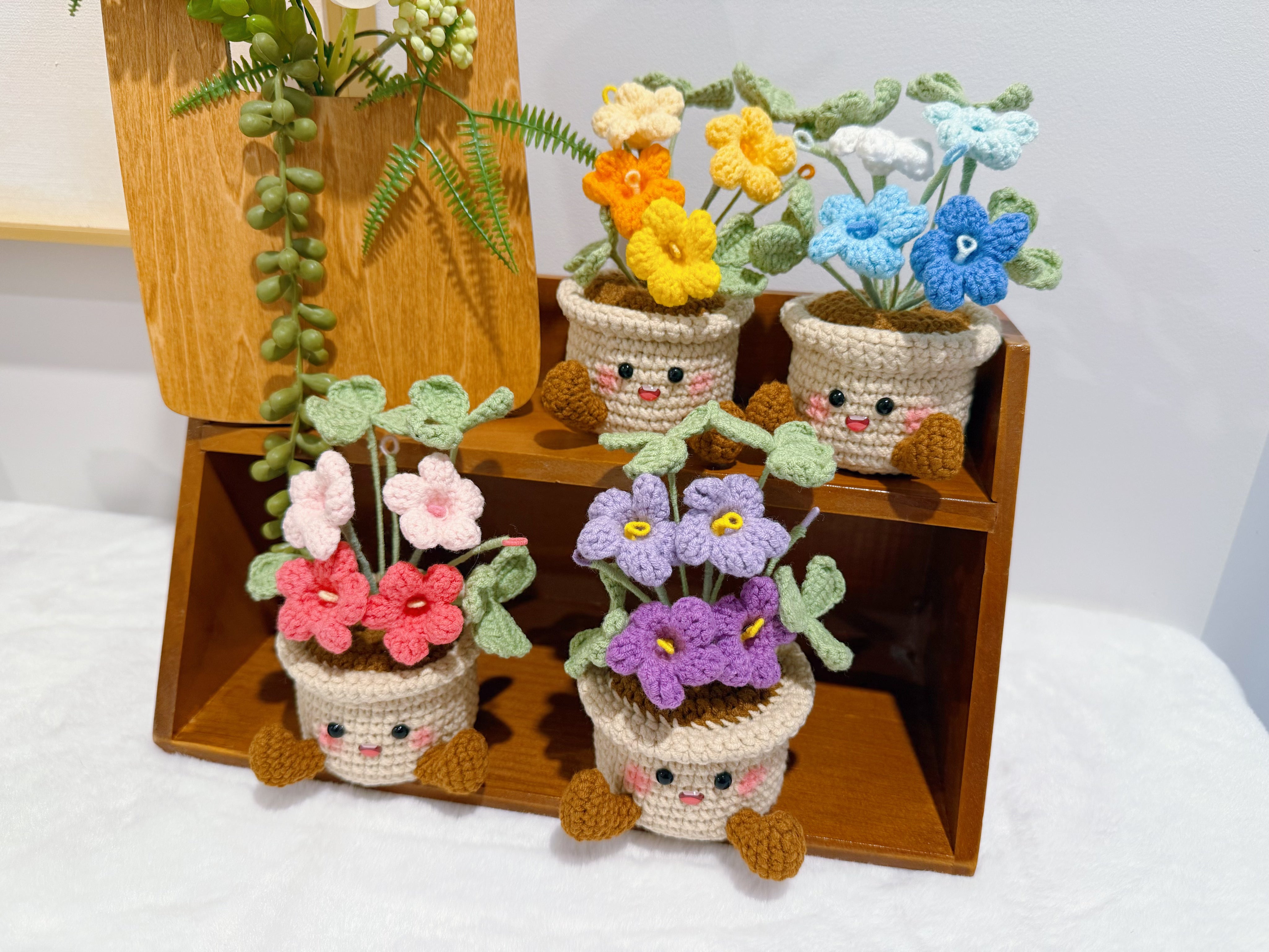 Happy Oxalis Pot Decoration