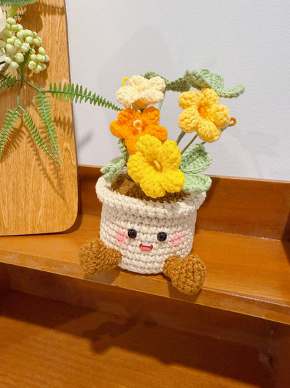 Happy Oxalis Pot Decoration