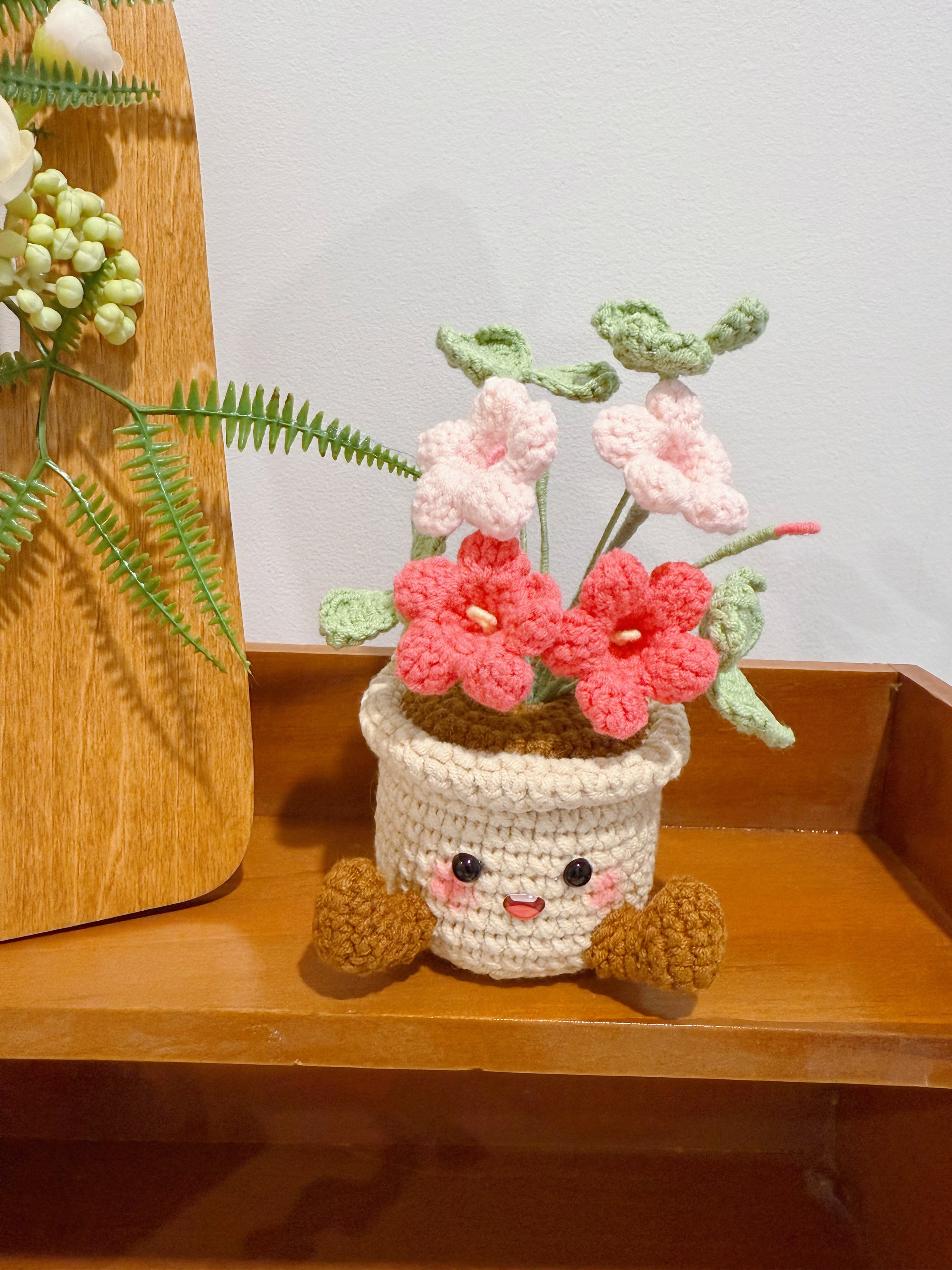 Happy Oxalis Pot Decoration