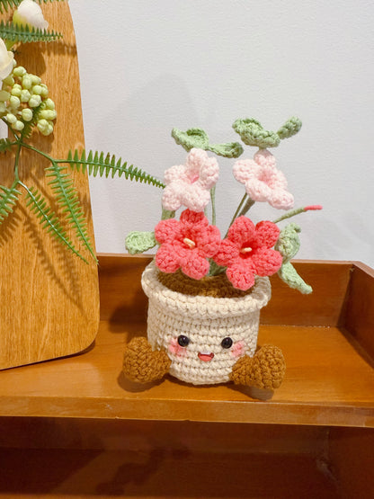 Happy Oxalis Pot Decoration