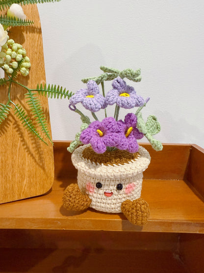Happy Oxalis Pot Decoration