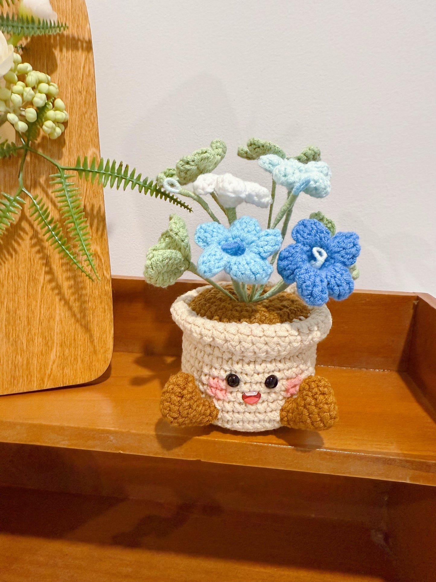 Happy Oxalis Pot Decoration