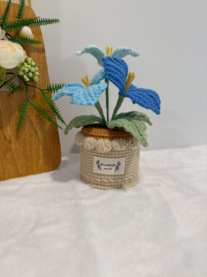 Bougainvillea Pot Decoration