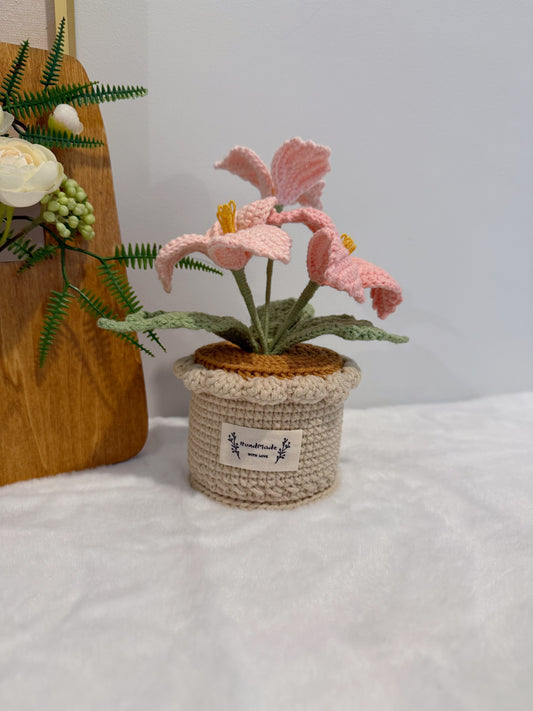 Bougainvillea Pot Decoration