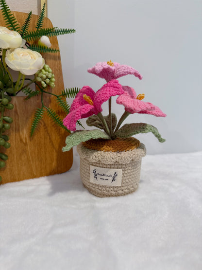 Bougainvillea Pot Decoration