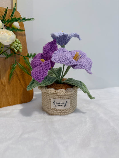 Bougainvillea Pot Decoration