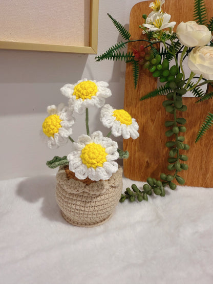 Daisy Pot