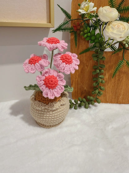 Daisy Pot