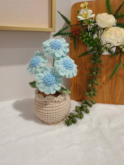 Daisy Pot