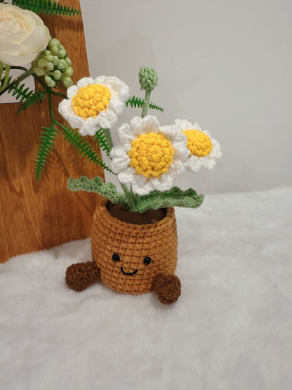 Happy Daisy Pot