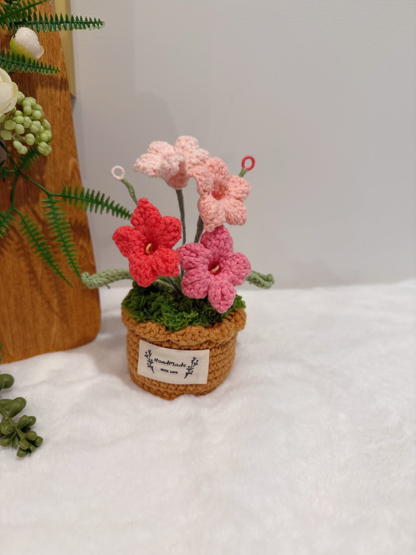 Bellflowers Pot