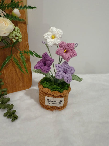 Bellflowers Pot