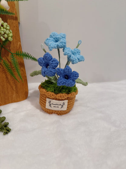 Bellflowers Pot