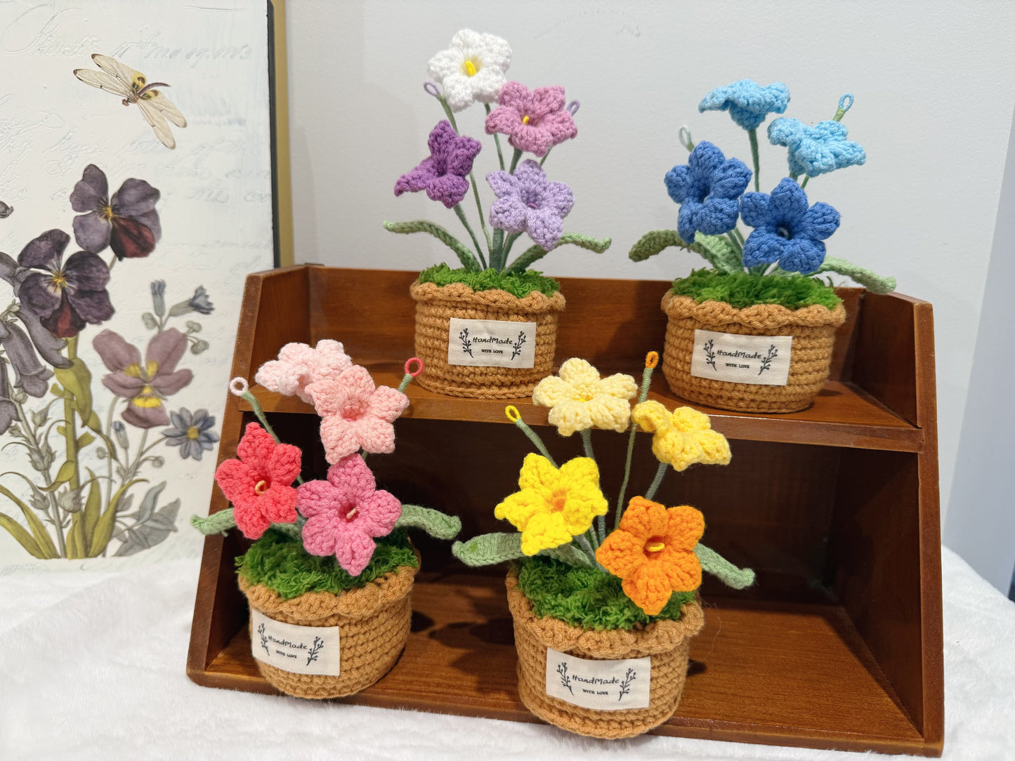 Bellflowers Pot