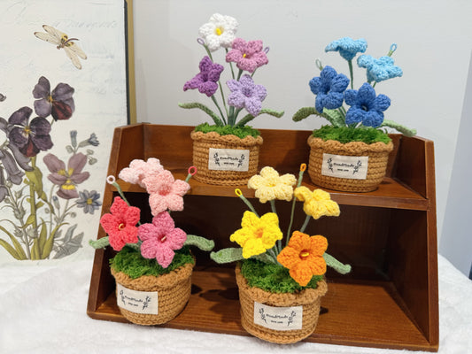 Bellflowers Pot