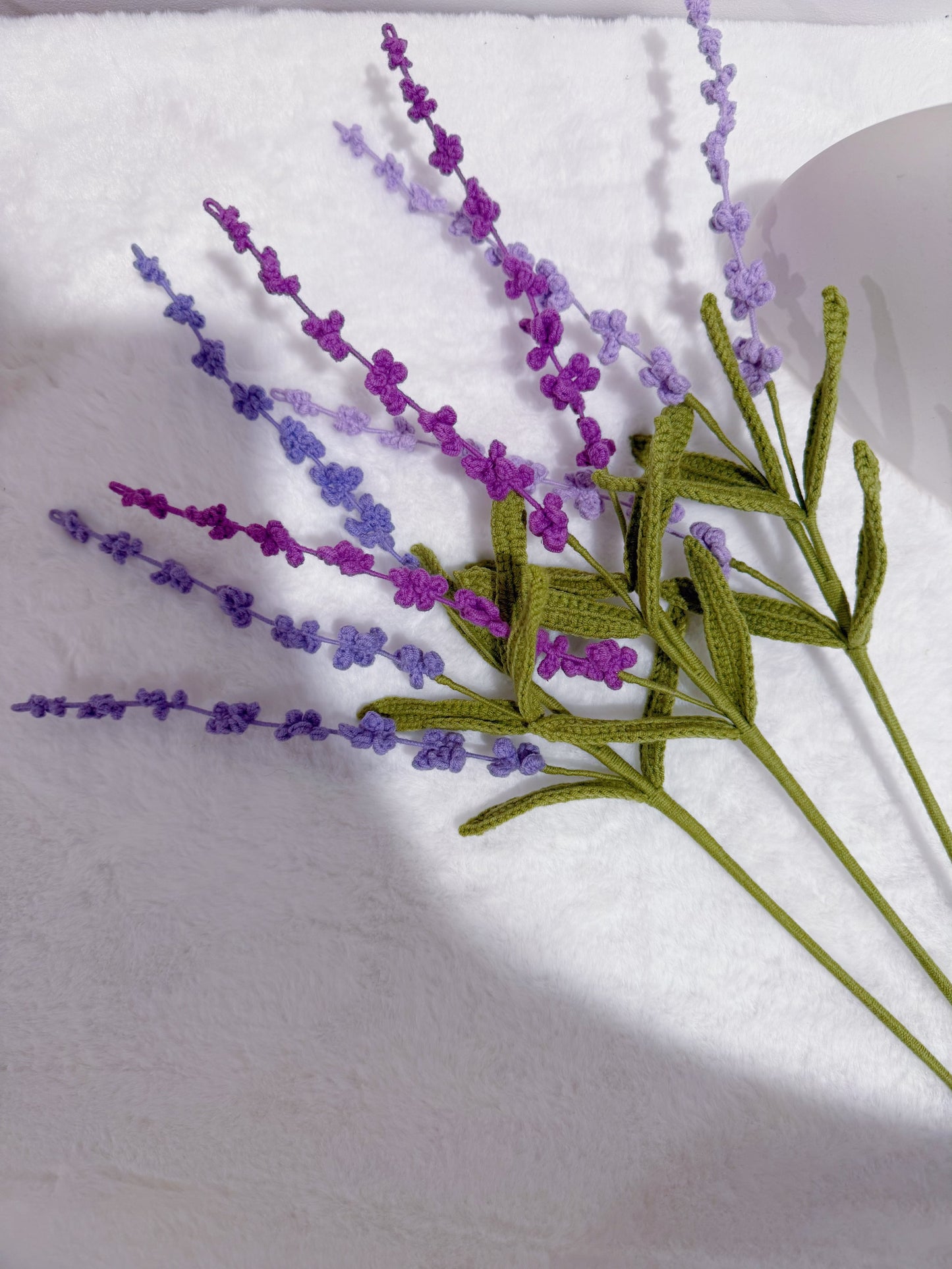 Lavender Lace